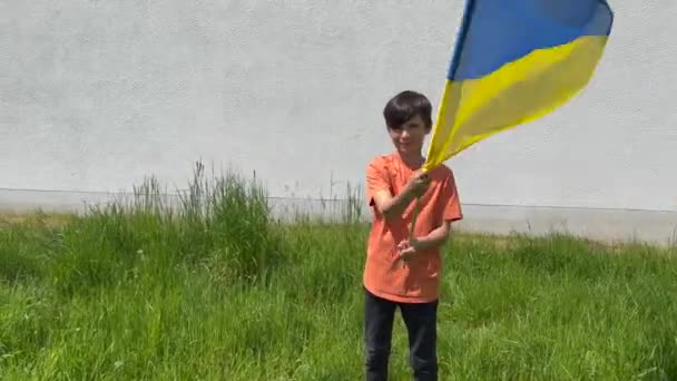 Boy Smiling While Waving Ukrainian Flag Standing Field Wall — Stock video
