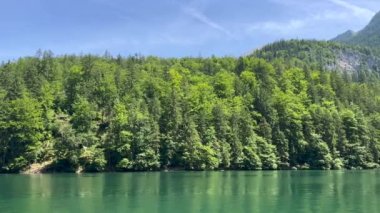 Orman ve dağın gökyüzüne karşı manzarası