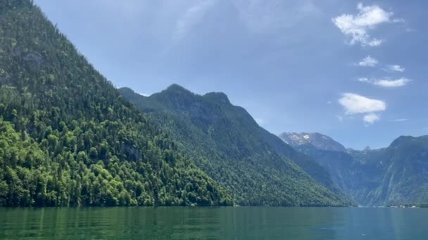 Malerischer Blick Auf Den Fluss Durch Dichte Bäume Bedeckte Berg — Stockvideo