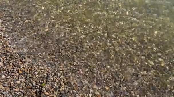 Full Frame Pebble Stone Coast Sea Water — Video Stock