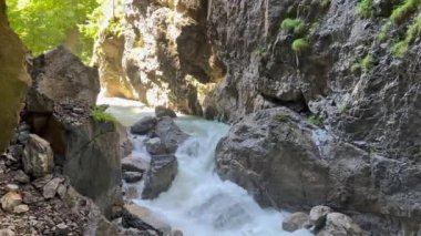 Ormanda akan taze nehir suyu kayaların arasından akıyor.