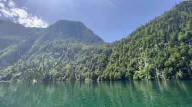 Orman ve dağın gökyüzüne karşı manzarası
