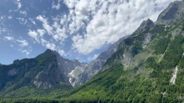 Yoğun ağaçların ve karla kaplı dağların manzarası gökyüzüne karşı