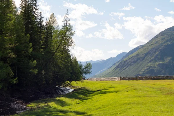 River Valley View Meadow Trees Mountains — Stok fotoğraf