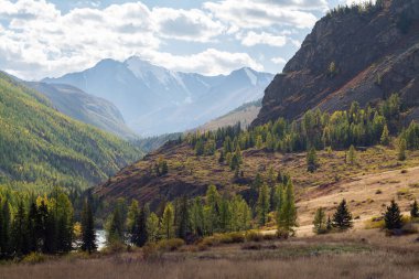 mountain canyon in summer, Altai