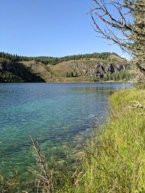 Mavi-yeşil dağ gölü, sonbaharda çimen ve orman, güneşli bir günde, Altai