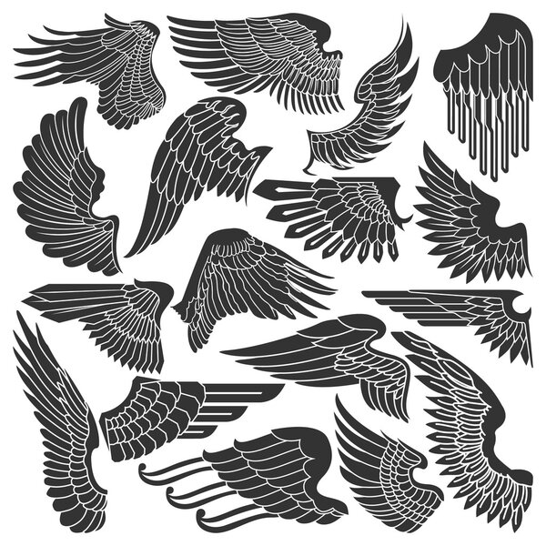 Set sketches of wings