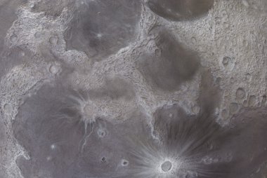 Valencia Ciudad de las Artes y las Ciencias - L'Umbracle