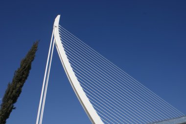 Agora - Ciudad de las Artes y las Ciencias - Valencia