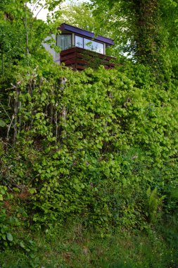 İngiltere'de kırsal tatil evi