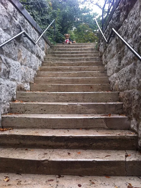 Stairway Guardian — Stock Photo, Image