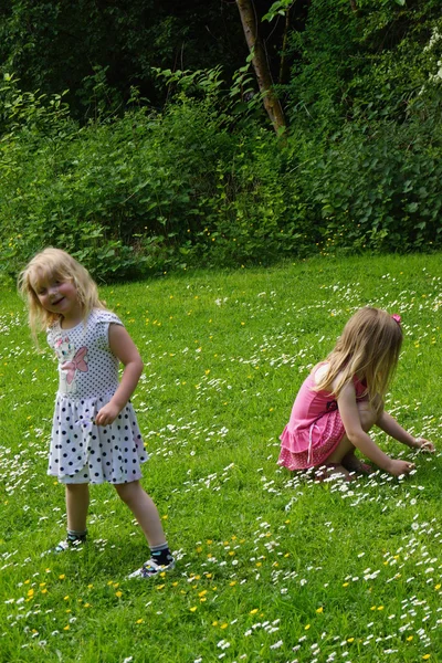 Den blommande äng — Stockfoto