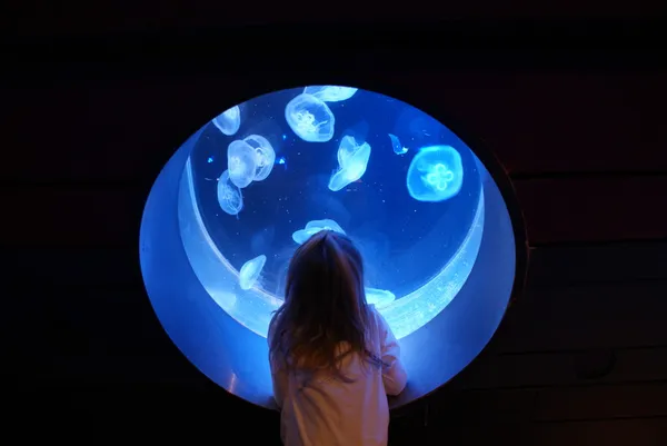 Giovane ragazza guardando luna meduse — Foto Stock