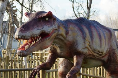 Allosaurus - Allosaurus fragilis