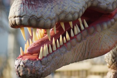 Allosaurus - Allosaurus fragilis