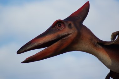 Pteranodon - Pteranodon longiceps