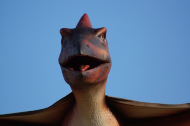 Pteranodon - Pteranodon longiceps