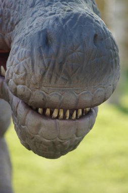 Spinosaurus - Spinosaurus aegyptiacus