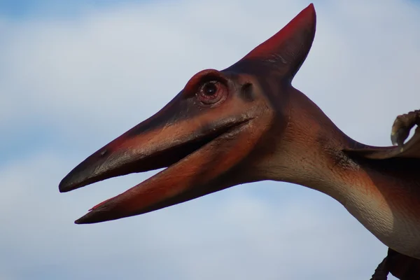 Pteranodon - pteranodon longiceps — стокове фото