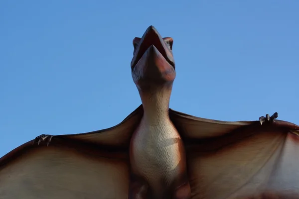 Pteranodon - Pteranodon longiceps — Fotografie, imagine de stoc