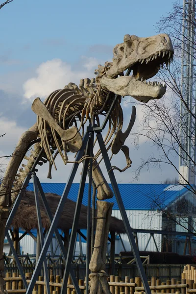 Tyrannosaurus Rex - T Rex —  Fotos de Stock