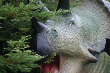 Triceratops horridus - vahşi triceratops
