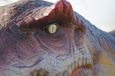 Allosaurus - Allosaurus fragilis