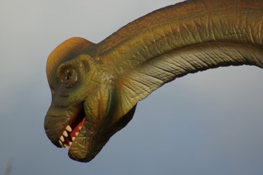 Brachiosaurus - Brachiosaurus altithorax