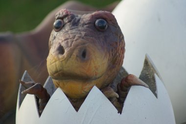 Bebek spinosaurus - spinosaurus aegyptiacus