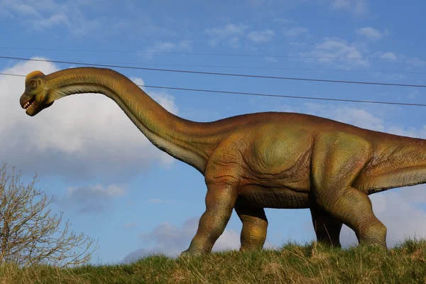 Brachiosaurus - Brachiosaurus altithorax — Stock fotografie