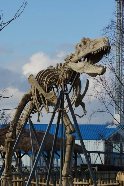 Tyrannosaurus Rex - T Rex —  Fotos de Stock