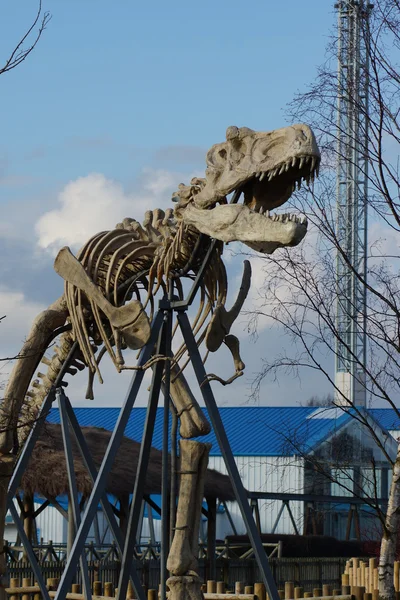Tyrannosaurus Rex - T Rex — Fotografie, imagine de stoc