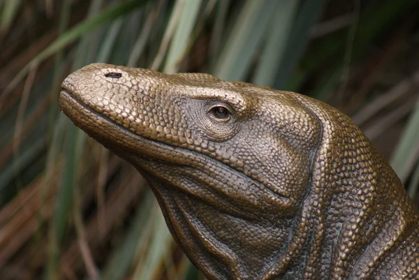 Pomnik smok komodo - varanus komodoensis — Zdjęcie stockowe