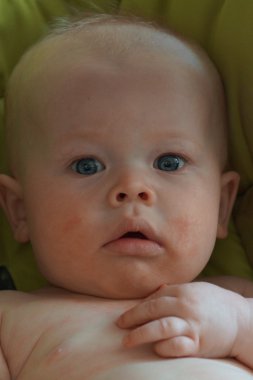 altı aylık bebek portre