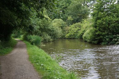 Yol Kanal kenarında