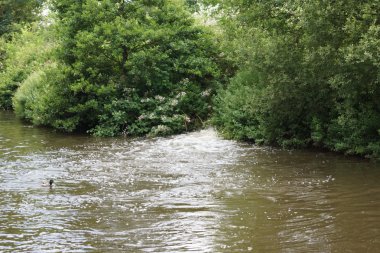 Şelale giriş kırsal görüntüde kanal