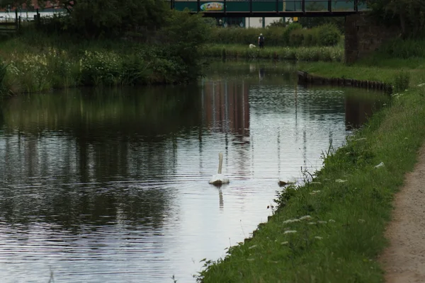 Camino por el lado del canal —  Fotos de Stock