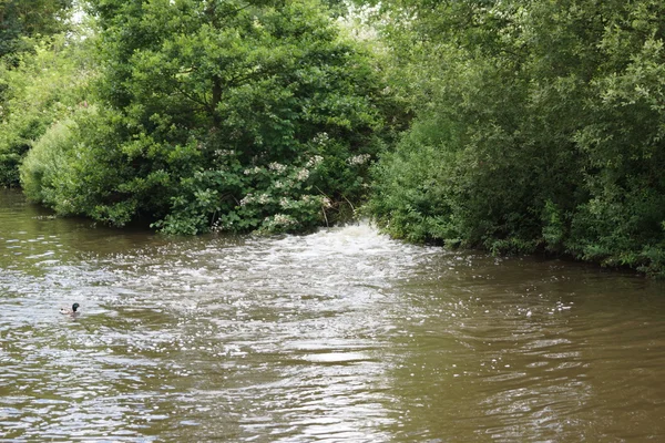 Entrada de cascada en el canal en imagen de campo —  Fotos de Stock