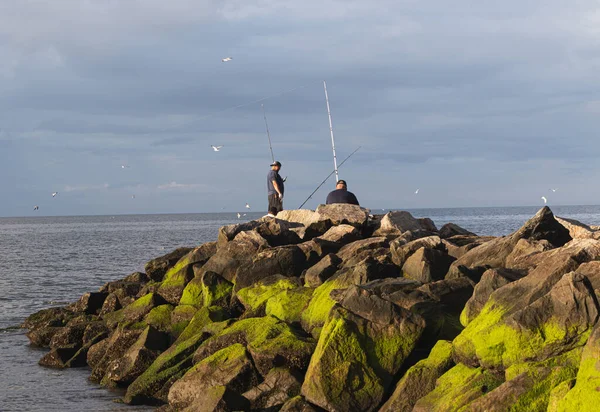Двое Мужчин Рыбачат Скалах Парке Затонувшего Медоу Чаями Летающими Вокруг — стоковое фото
