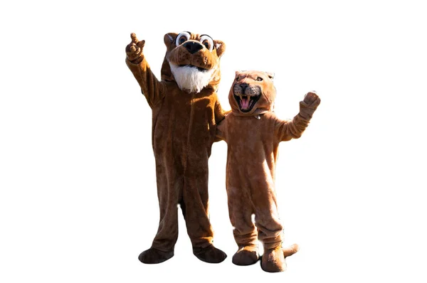 Twee Cougar Mascottes Met Hun Armen Elkaar Heen Een Hand — Stockfoto
