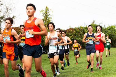 Wappingers Falls, New York, ABD - 16 Ekim 2021: Bowdoin Park 'taki 5 km çapındaki bir kros yarışı sırasında farklı takımlardan bir grup çocuğun tepeden aşağı koşması.