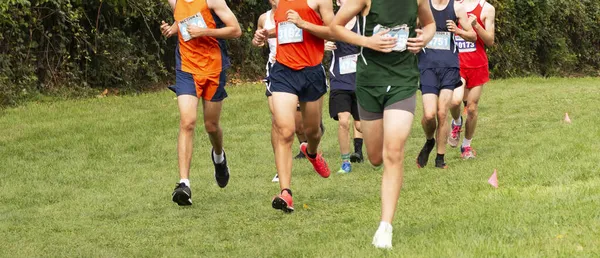 Wappingers Falls 'taki Bowdoin park' ta yapılan bir kros yarışında çimlerde 5K yarışı yapan bir grup çocuk..