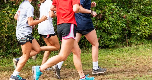 Small Group High School Girls Running Together Training Cross County — стоковое фото