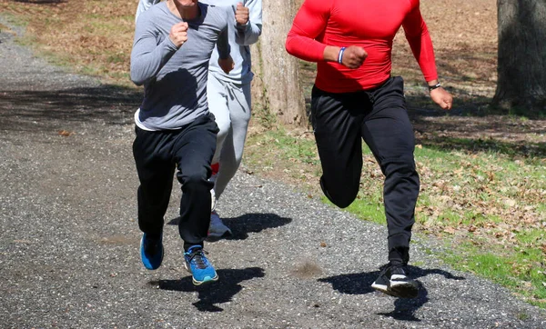 고등학교 선수들 훈련을 산길을 빠르게 달리고 있습니다 — 스톡 사진