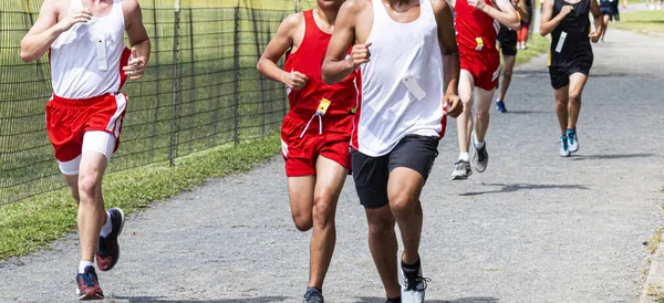 High School Boys Running Final Straight Cross Country Race Van — Stockfoto