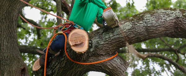 Uomo Che Taglia Albero Seduto Grande Ramo Albero Mentre Usa — Foto Stock