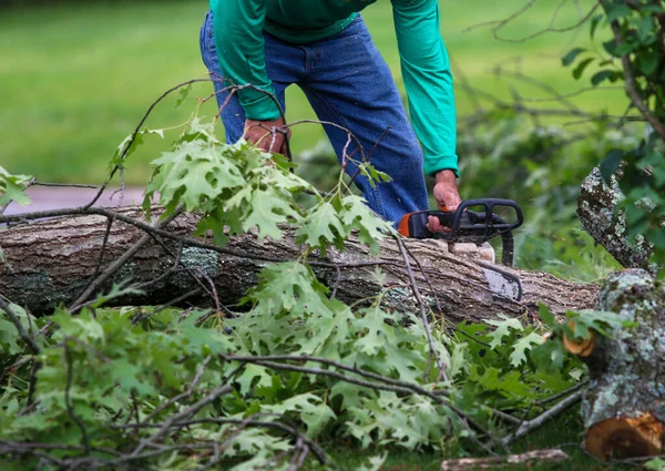 Worker Using Chainsaw Cut Large Branches Tree Ground — Foto Stock