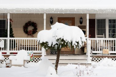 Kar, Long Island New York 'u kaplayan kar fırtınasından sonra bir ev önündeki küçük ağaç ve Noel tatili süslemelerini kaplıyor.. 