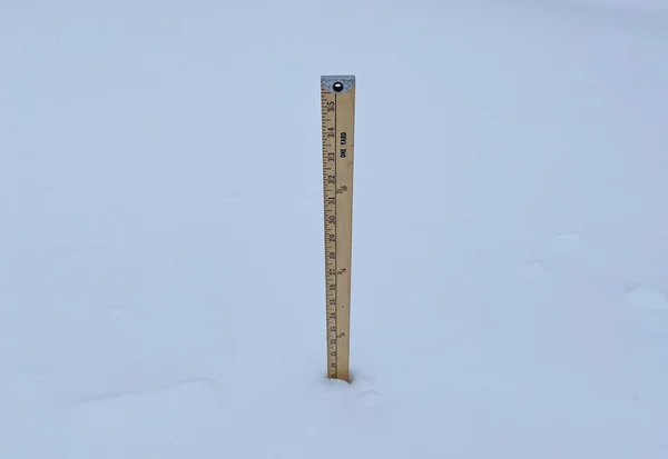 Yard stick in nineteen inches of snow demenstrating how much snow is on the ground after a snow storm.