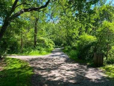 Ormandaki toprak yolun sonundaki bir çatal karar verme zamanı demektir.